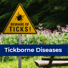 tick-borne diseases