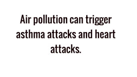 Air pollution can trigger asthma attacks and heart attacks.
