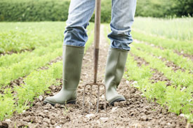 farmer with a hoe