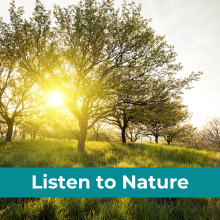 listen to nature