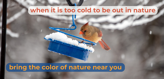 bring the color of nature near you