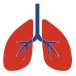 Asthma Graphic