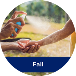 fall