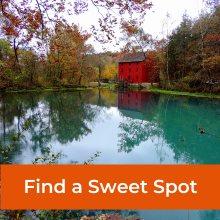 Find a Sweet Spot