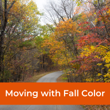 Moving With Fall Color