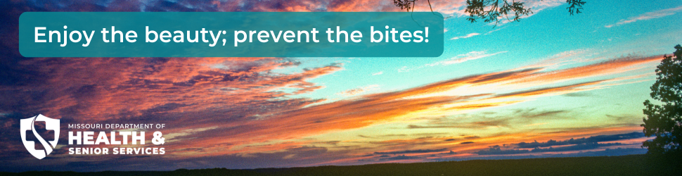 Enjoy the beauty and prevent the bites