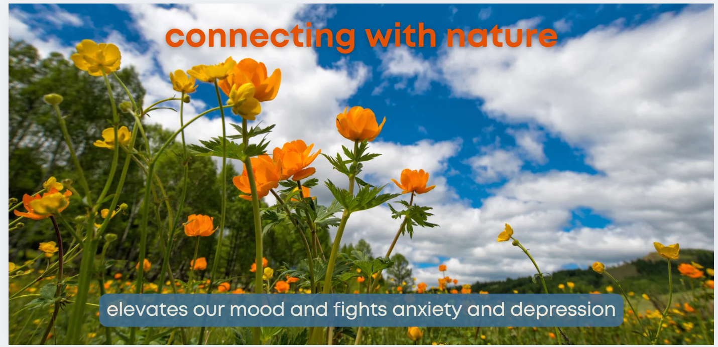 Connecting with nature