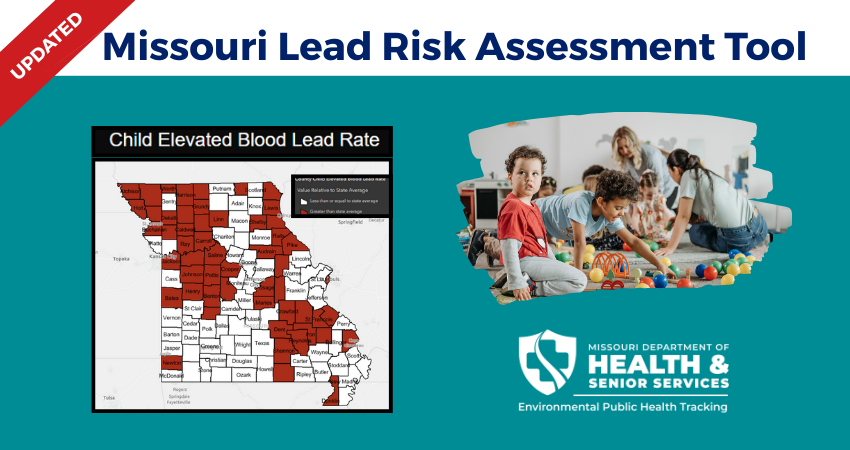 missouri lead risk assessment tool