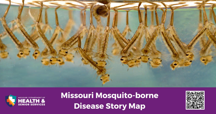 Missouri Mosquitoborne Disease Story Map