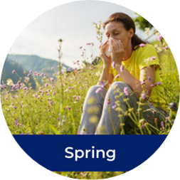 spring