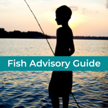fish advisory guide