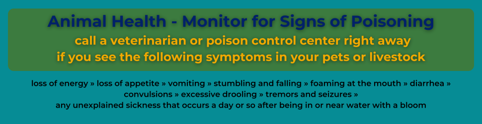 animal health - monitor for signs of poisoning