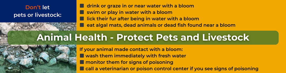 animal health - protect pets and livestock