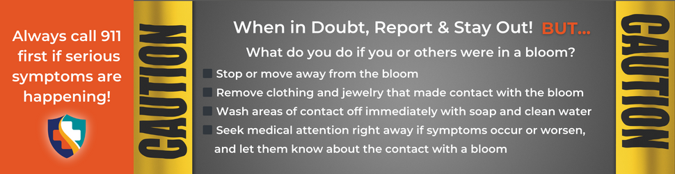 when in doubt, report and stay out - call 911