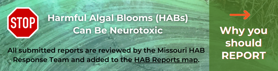 harmful algal blooms can be neurotoxic